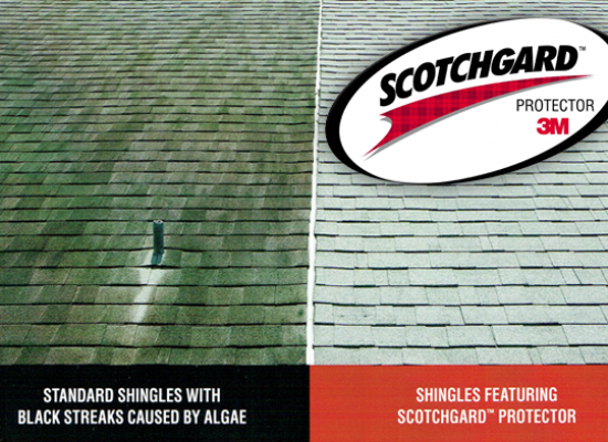 Summer Breeze Roofing Clean Roof Comparison